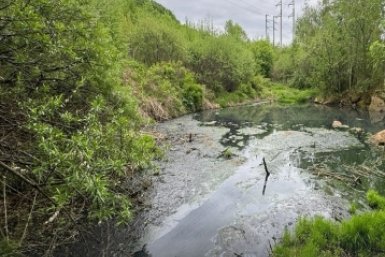 Почти 20 млн рублей заплатит предприятие из Амурской область за причиненный вред экологии Росприроднадзор