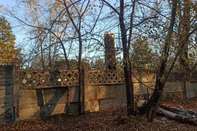 В Белогорске дерево упало на мужчину, спасти его не удалось пресс-служба главы Белогорска