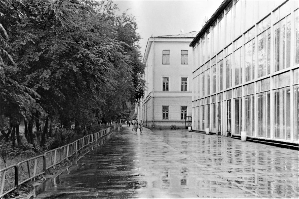 Улица Ленина в Благовещенске, универмаг, 1975 год