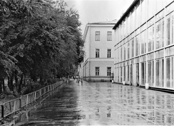 Улица Ленина в Благовещенске, универмаг, 1975 год
